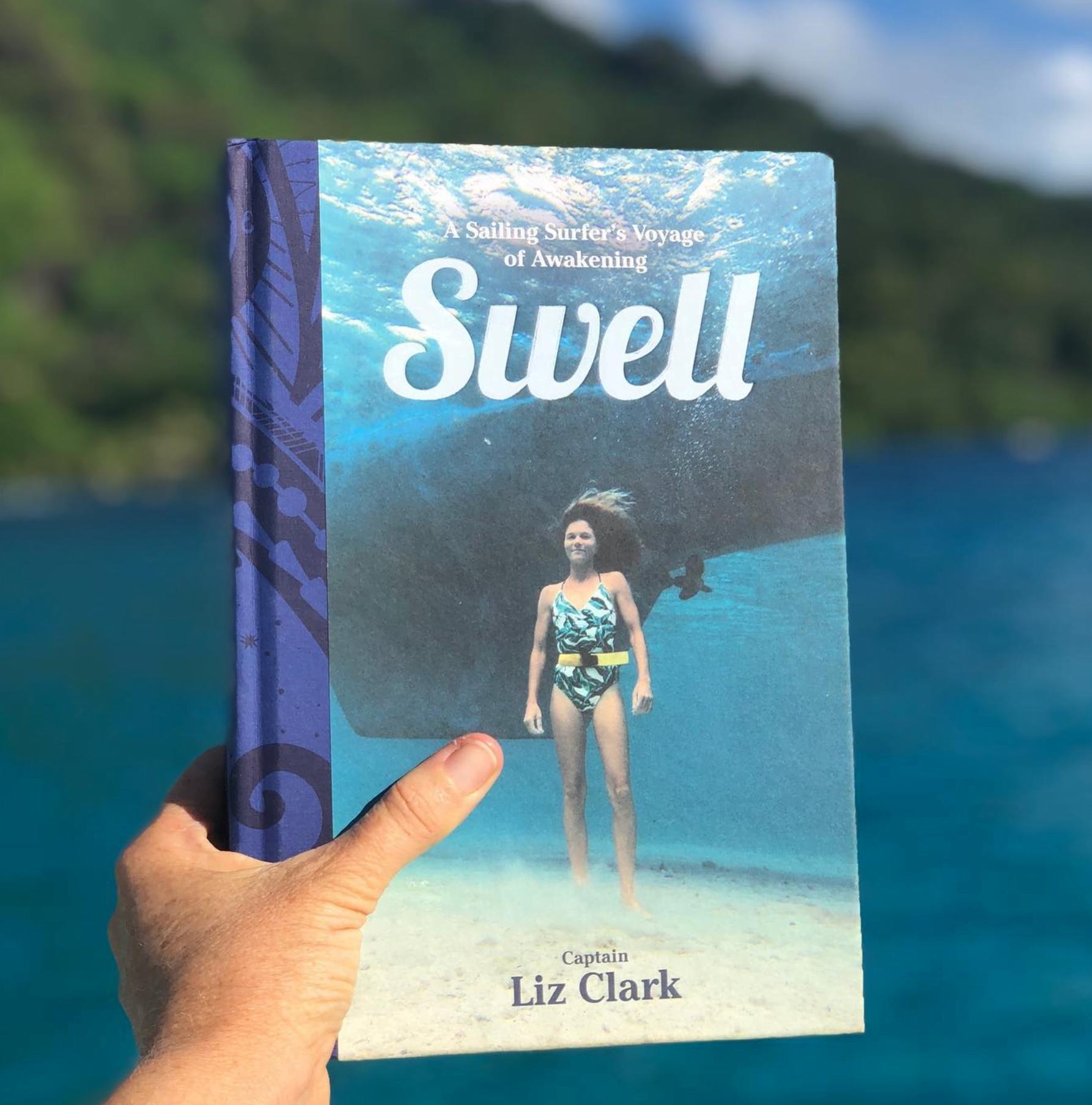 'Swell' By Liz Clark