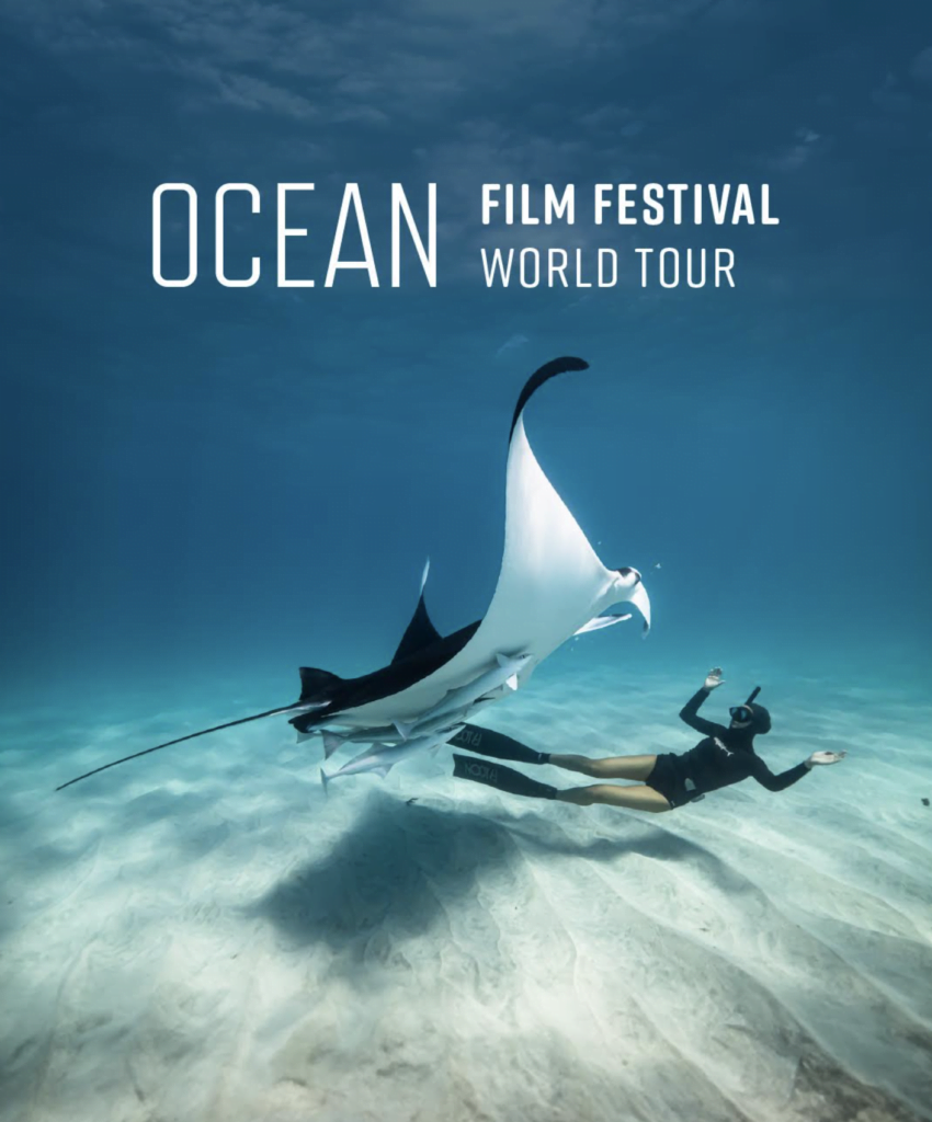 'Manta Ray Dance' image by Andre Rerekura and Anouska Freedman for Ocean Film Festival 2024 ('Poster Image')